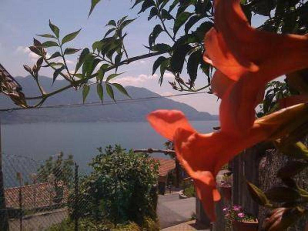 Home Sweet Home Lakeview Oggebio Εξωτερικό φωτογραφία